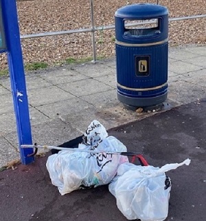 Litter pick at Southsea