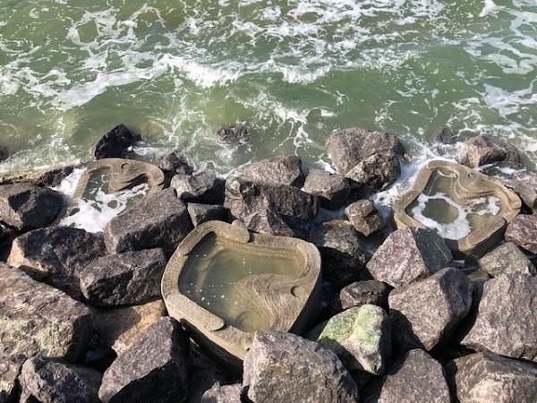 Tidal Pools at Spur Redoubt, Portsmouth. Photo courtesy of Coastal Partners.