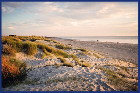 Sand Dunes, West Wittering